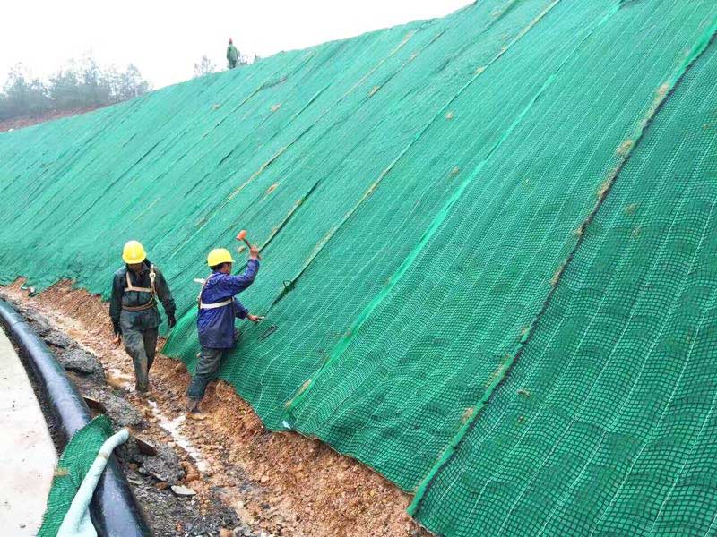 公路护坡绿化工程